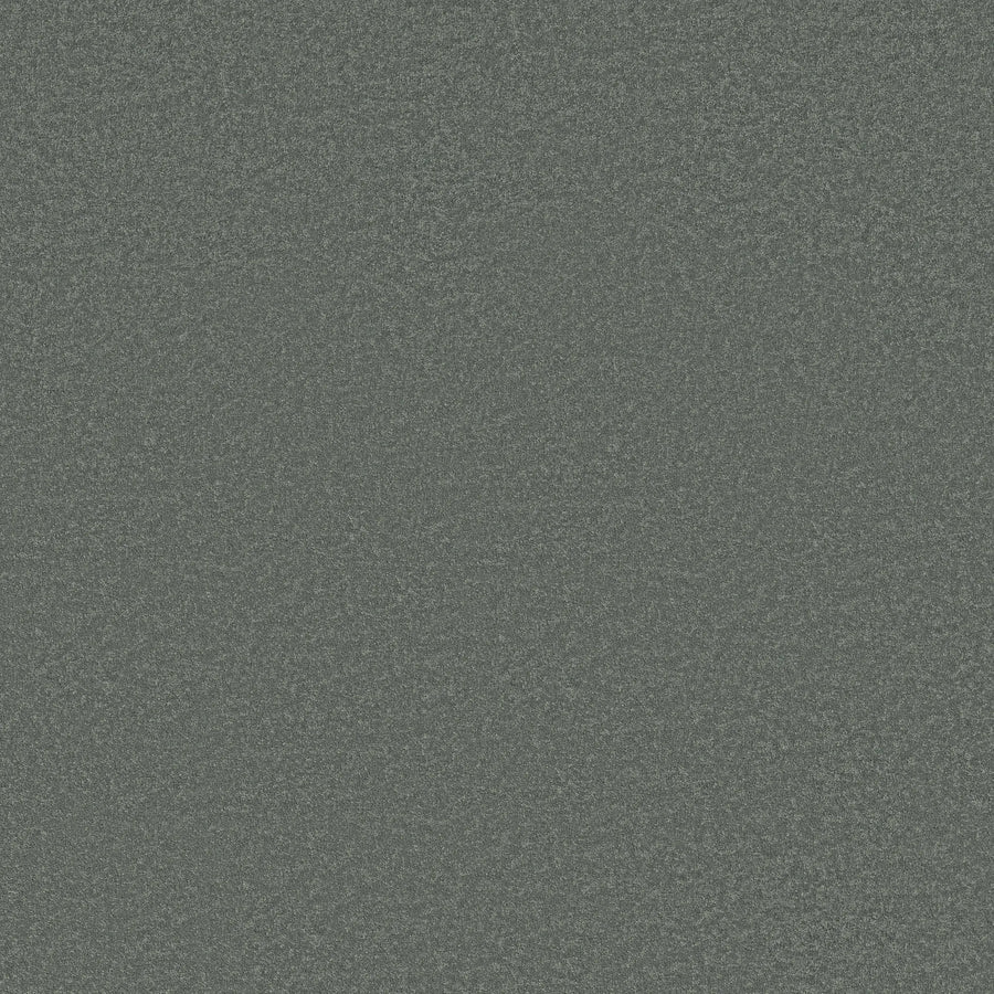 Smooth Tone Pet Friendly Carpet in the color Refreshing features a grainy, speckled gray and blue surface, resembling sandpaper or stone—durable, stain resistant, and perfect for homes with pets.