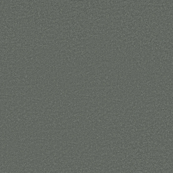 Smooth Tone Pet Friendly Carpet in the color Refreshing features a grainy, speckled gray and blue surface, resembling sandpaper or stone—durable, stain resistant, and perfect for homes with pets.