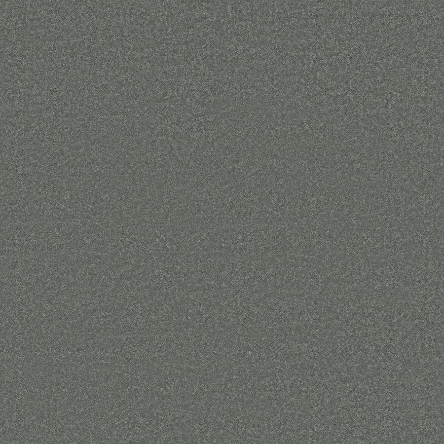The Classic Tone Blue Pet Friendly Carpet in Refreshing features a textured surface with a subtle, grainy pattern and a uniform appearance, resembling static or noise, with no distinct shapes or objects visible.