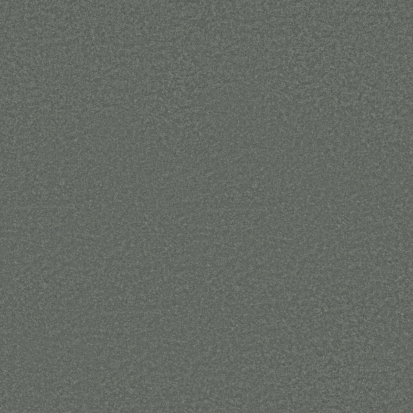 The Classic Tone Blue Pet Friendly Carpet in Refreshing features a textured surface with a subtle, grainy pattern and a uniform appearance, resembling static or noise, with no distinct shapes or objects visible.