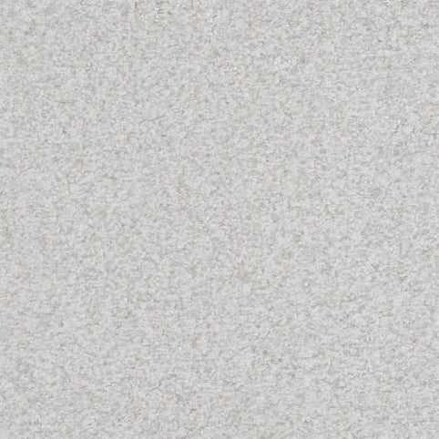 Close-up of Boca Raton Family Friendly Carpet in Reliable—a soft, light gray shade with a uniform, subtly textured surface. Made from premium materials, it delivers plush comfort and durability for cozy flooring in any room.