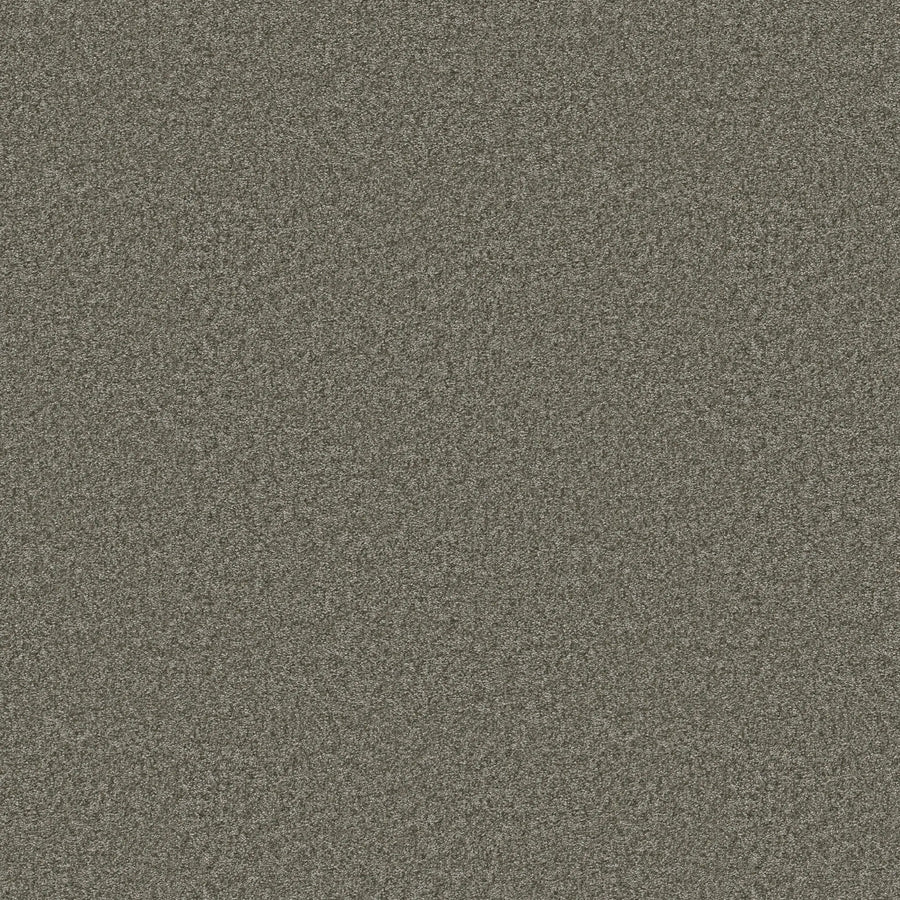 A dense, static-like pattern of black, white, and gray dots evenly spread across the image, similar to the subtle texture and durable appeal of You Got This III Pet Friendly Carpet in Rerooted.