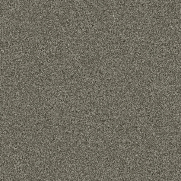 A dense, static-like pattern of black, white, and gray dots evenly spread across the image, similar to the subtle texture and durable appeal of You Got This III Pet Friendly Carpet in Rerooted.