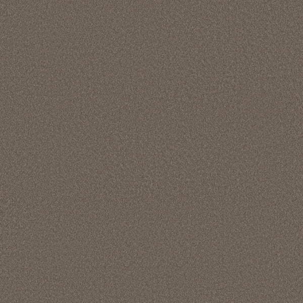 Close-up of Smooth Tone Pet Friendly Carpet in Ridgeline color, showing its dense, textured surface—ideal for busy or pet-friendly homes.
