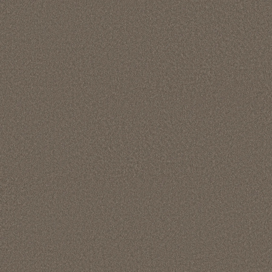 Close-up of Classic Tone Pet Friendly Carpet in Ridgeline color, featuring a brown, textured surface with a dense, speckled pattern and slightly rough appearance.