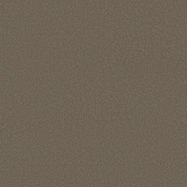 A close-up of Classic Tone Blue Pet Friendly Carpet in Ridgeline color, showing its textured, uniform surface designed for durability and pet friendliness.