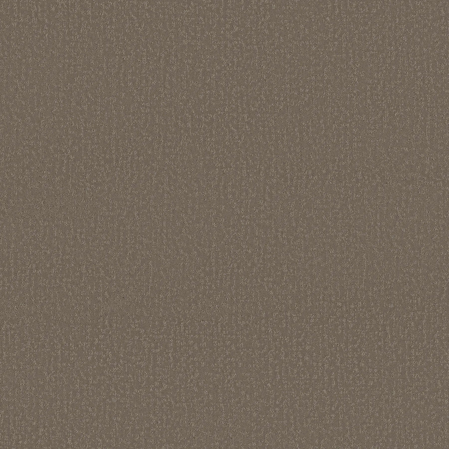 A close-up of Crafted Tone Blue Pet Friendly Carpet in Ridgeline shows a brown textured, stain-resistant surface with a subtle, uniform pattern and slightly rough, pet-friendly feel.