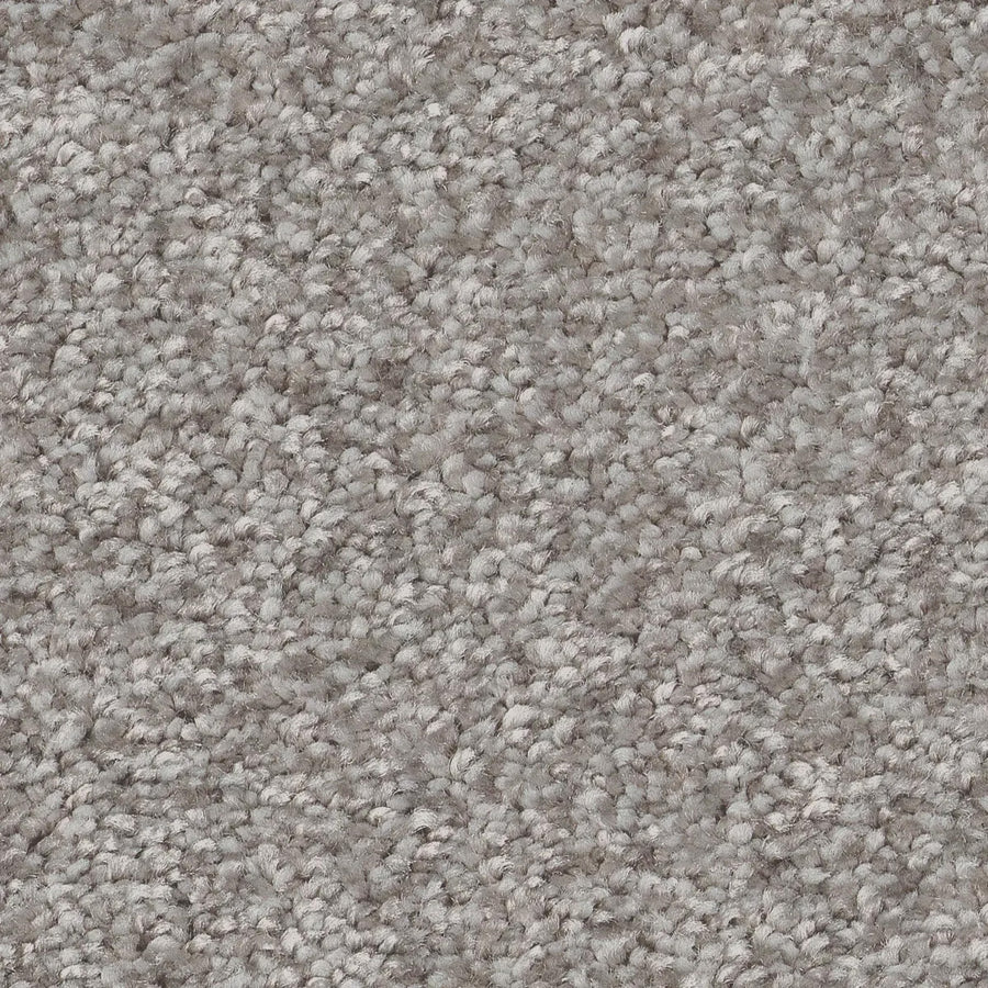 Close-up of You Got This III Pet Friendly Carpet in Rock, featuring a light gray, textured looped pile for a soft, dense surface—perfect for stylish and comfortable modern flooring in homes or offices.