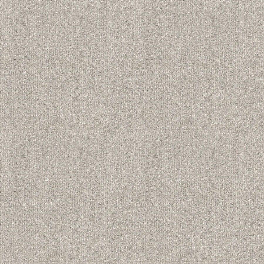 Sierra Vista Pet Friendly Carpet in Rock Crystal offers a seamless, light beige textured look with a subtle woven feel—perfect for modern spaces seeking a soft, neutral background ideal for upholstery, wallpaper, or durable flooring.