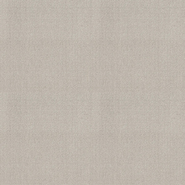Sierra Vista Pet Friendly Carpet in Rock Crystal offers a seamless, light beige textured look with a subtle woven feel—perfect for modern spaces seeking a soft, neutral background ideal for upholstery, wallpaper, or durable flooring.