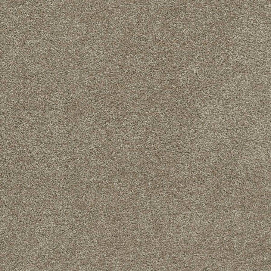 Close-up of Rock Solid III Family Friendly Carpet in Buff. This durable, light brown carpet features a subtle speckled texture with tightly packed fibers for a soft, stain-resistant surface—ideal for any family space. Uniform look with no visible stains or patterns.