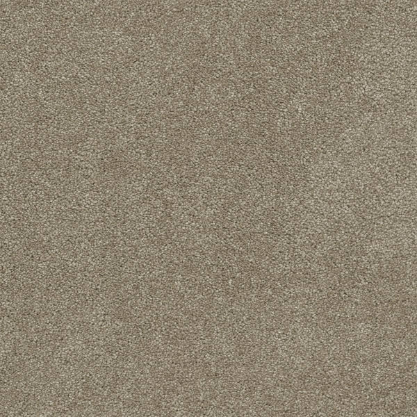 Close-up of Rock Solid III Family Friendly Carpet in Buff. This durable, light brown carpet features a subtle speckled texture with tightly packed fibers for a soft, stain-resistant surface—ideal for any family space. Uniform look with no visible stains or patterns.