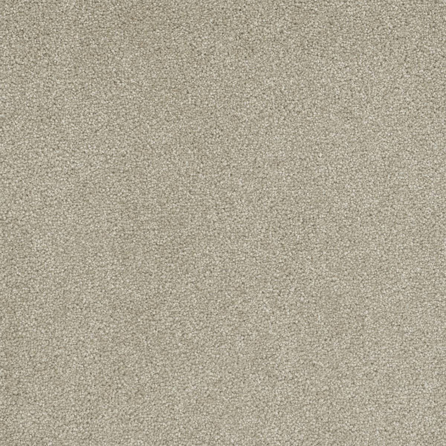 Close-up of Rock Solid III Family Friendly Carpet in Cream—a plush, densely woven, stain resistant carpet with a soft, uniform texture and subtle speckles. Its cozy, neutral look is ideal for home interiors.