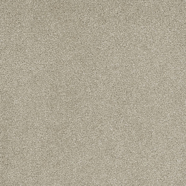 Close-up of Rock Solid III Family Friendly Carpet in Cream—a plush, densely woven, stain resistant carpet with a soft, uniform texture and subtle speckles. Its cozy, neutral look is ideal for home interiors.