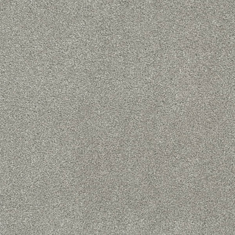 Close-up of Rock Solid III Family Friendly Carpet in Dove—a light gray, stain-resistant carpet with a soft, textured surface and dense pile, ideal for busy homes seeking durable, family-friendly flooring.
