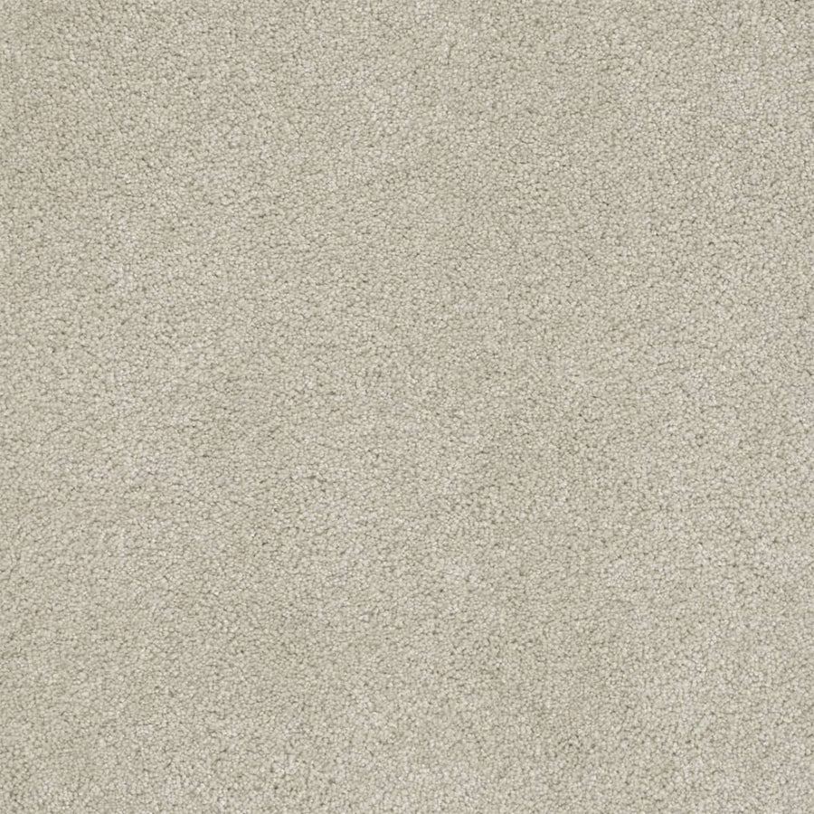 Close-up of Rock Solid III Family Friendly Carpet in Dusk—a soft, plush, light beige carpet with a textured surface and uniform look. This durable, easy-to-maintain flooring is ideal for families.