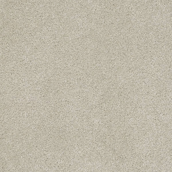 Close-up of Rock Solid III Family Friendly Carpet in Dusk—a soft, plush, light beige carpet with a textured surface and uniform look. This durable, easy-to-maintain flooring is ideal for families.