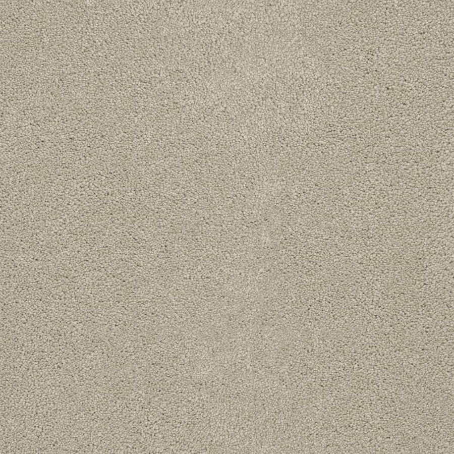 Close-up of Rock Solid III Family Friendly Carpet in Ivory, featuring a uniform, soft, and slightly speckled surface with densely packed textured fibers for a family-friendly touch.