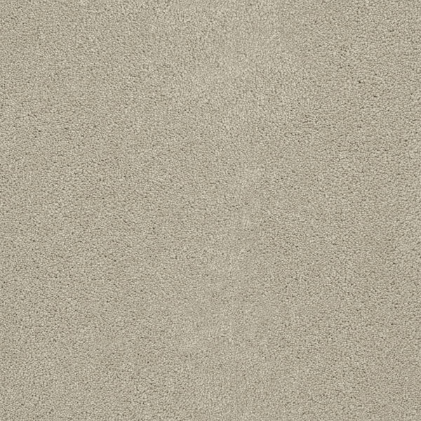 Close-up of Rock Solid III Family Friendly Carpet in Ivory, featuring a uniform, soft, and slightly speckled surface with densely packed textured fibers for a family-friendly touch.