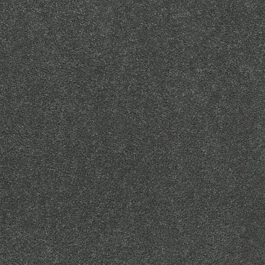 A close-up of the Rock Solid III Family Friendly Carpet in Mysterious, highlighting its soft, dense fibers and uniform dark gray texture for a luxurious feel.