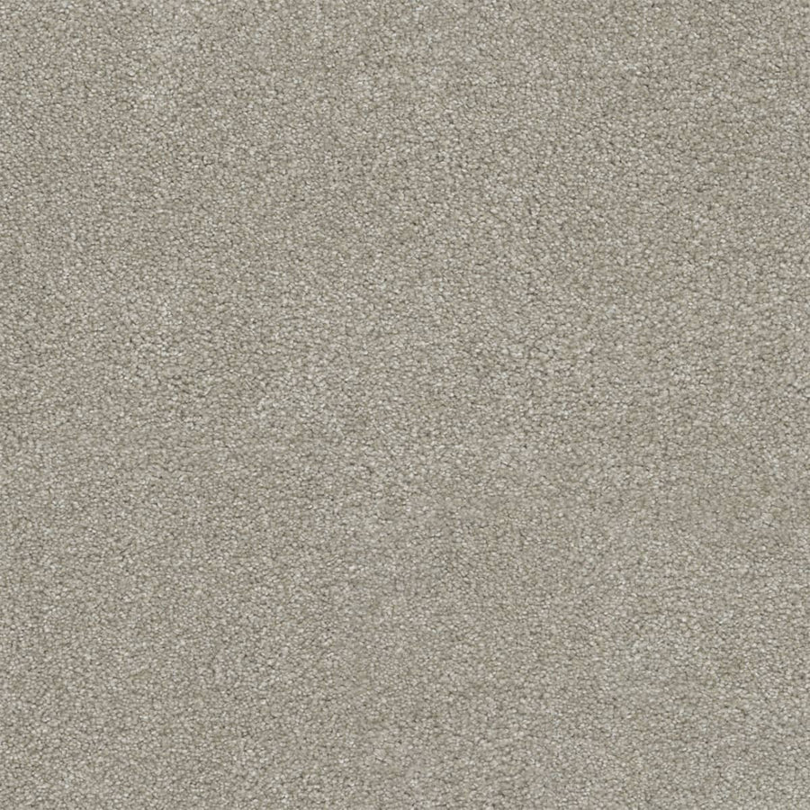 Close-up view of Rock Solid III Family Friendly Carpet in Parchment color, featuring a soft, uniform appearance with tightly woven, textured light gray fibers.