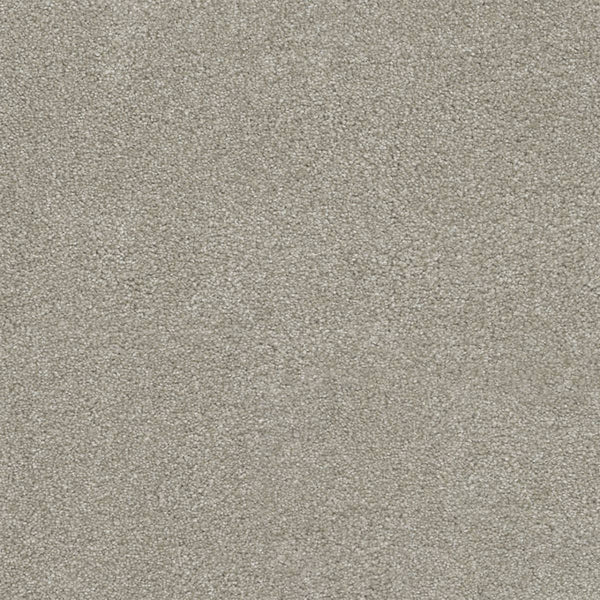 Close-up view of Rock Solid III Family Friendly Carpet in Parchment color, featuring a soft, uniform appearance with tightly woven, textured light gray fibers.
