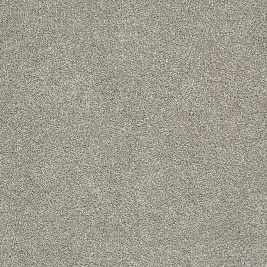 Close-up of Rock Solid III Family Friendly Carpet in Silver. This stain-resistant carpet features a soft, even pile and tightly woven fibers for a plush, uniform look that’s durable and perfect for families.
