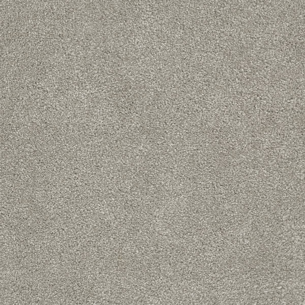 Close-up of Rock Solid III Family Friendly Carpet in Silver. This stain-resistant carpet features a soft, even pile and tightly woven fibers for a plush, uniform look that’s durable and perfect for families.