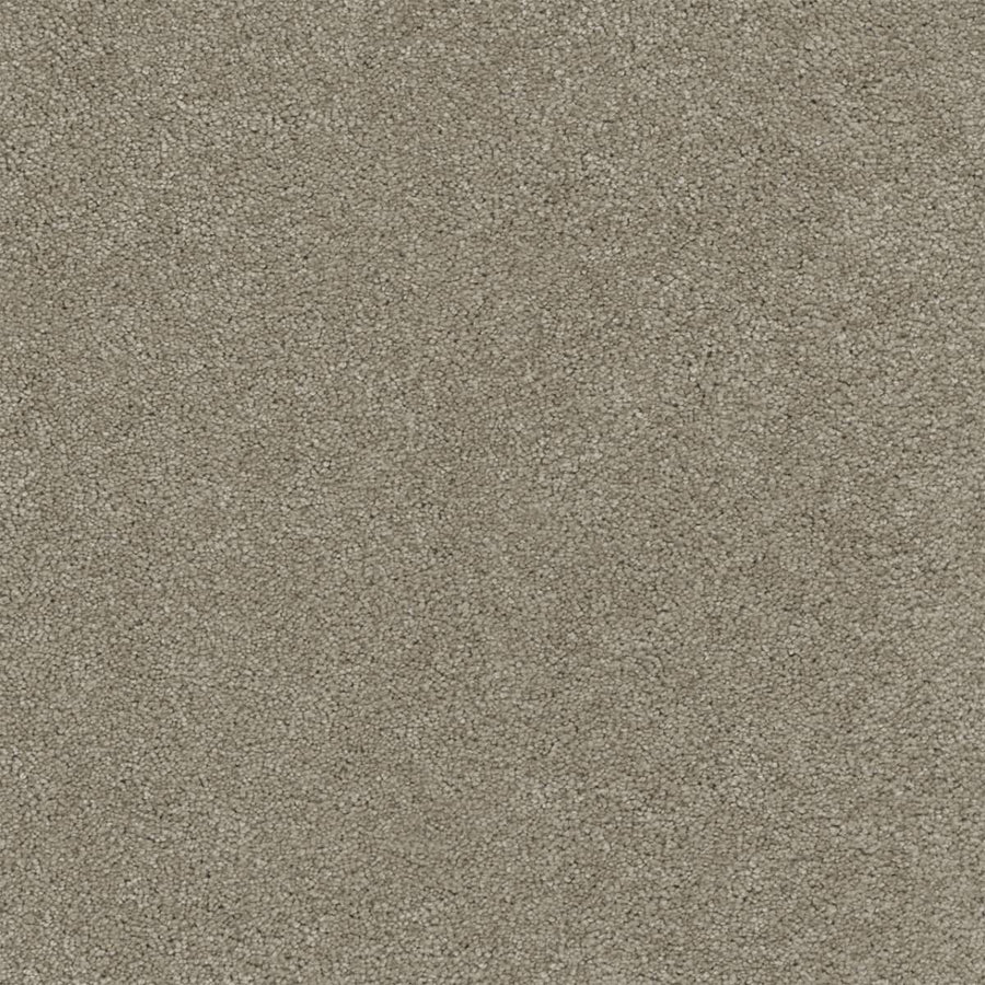 Rock Solid III Family Friendly Carpet in Warm Teak features a dense, plush pile with uniform, closely packed fibers, providing a soft and stylish surface ideal for comfortable, family-friendly interiors.