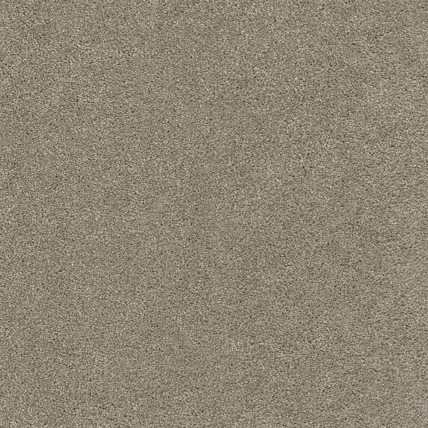 Rock Solid III Family Friendly Carpet in Warm Teak features a dense, plush pile with uniform, closely packed fibers, providing a soft and stylish surface ideal for comfortable, family-friendly interiors.