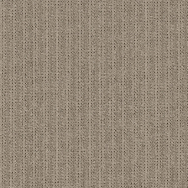 Close-up of San Lucas Family Friendly Carpet in Rockport. This beige carpet features a vertical ribbed texture with alternating raised and recessed lines, creating a cozy, soft look—ideal for high-traffic, family-friendly spaces.