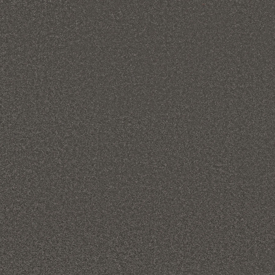 Close-up of Awaken Spirit Pet Friendly Carpet in Rocky color, showcasing a dark, textured surface with a consistent, grainy look that suggests durability and adds contemporary style.