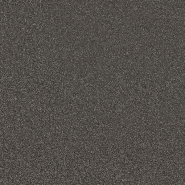 Close-up of Awaken Spirit Pet Friendly Carpet in Rocky color, showcasing a dark, textured surface with a consistent, grainy look that suggests durability and adds contemporary style.