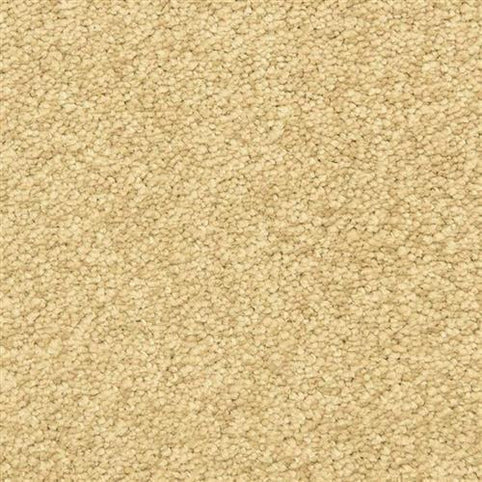 Close-up of Morgan Bay Family Friendly Carpet in Rough Hewn color, featuring tightly woven, beige textured fibers for a soft, uniform look—perfect for any room.