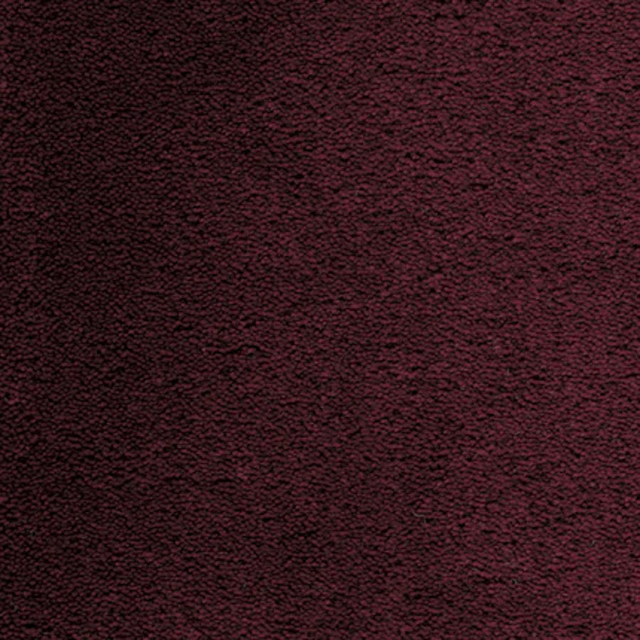 Close-up of the Dolce Family Friendly Carpet in Ruby, featuring a textured surface with subtle shading—perfect for adding elegance to high-traffic spaces.