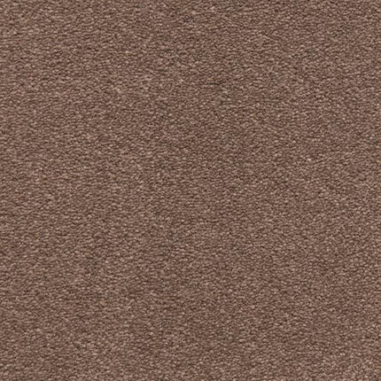 Close-up of the Grand Isle Family Friendly Carpet in Runyon, featuring a uniform, tightly woven texture with a soft yet slightly rough surface for lasting durability.