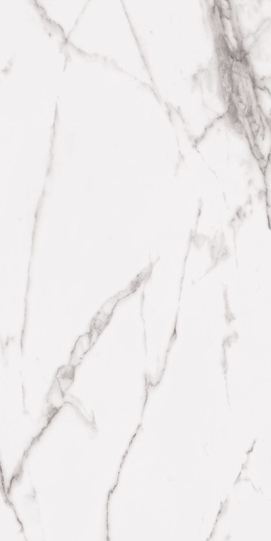 Bright Statuary 24x48 Rectified Porcelain Tile