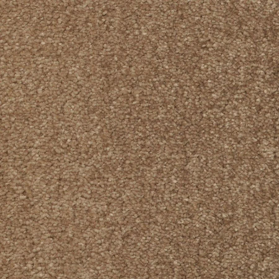 Close-up of Seduction On Trend Carpet in Sable, featuring tightly woven fibers for a soft, uniform surface. The warm medium brown shade has subtle tonal variations, offering a stylish and durable flooring option.