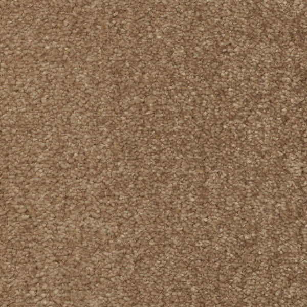 Close-up of Seduction On Trend Carpet in Sable, featuring tightly woven fibers for a soft, uniform surface. The warm medium brown shade has subtle tonal variations, offering a stylish and durable flooring option.