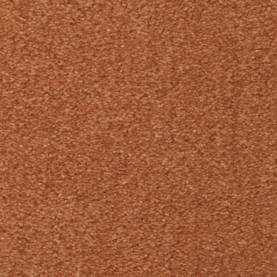 Close-up of Seduction On Trend Carpet in Saddle Brown, featuring a uniform, slightly rough textured luxury surface.