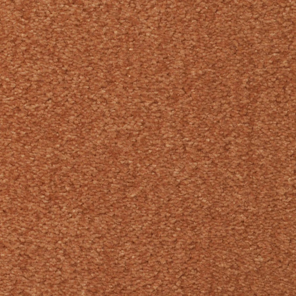 Close-up of Seduction On Trend Carpet in Saddle Brown, featuring a uniform, slightly rough textured luxury surface.