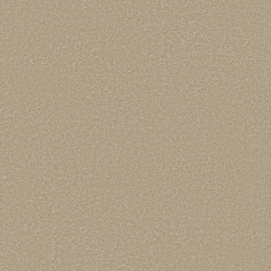 A close-up of Smooth Tone Pet Friendly Carpet in Safari color shows its fine, beige texture—resembling soft sand—offering a stylish, durable surface that's ideal for pets.