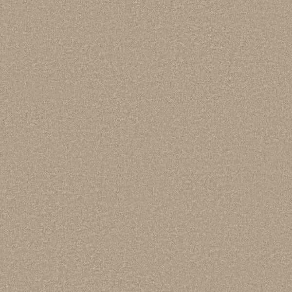 Close-up of Smooth Tone Blue Pet Friendly Carpet in Safari color, showcasing its smooth, light beige texture and subtle shimmer—perfect for creating a luxurious, pet-friendly floor.