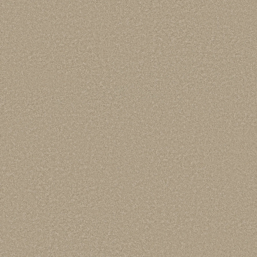 A close-up of the Classic Tone Blue Pet Friendly Carpet in Safari color, showing its smooth, even texture and light beige tone, resembling fine sand.