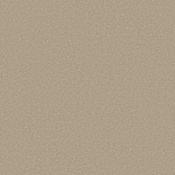 A close-up of the Classic Tone Blue Pet Friendly Carpet in Safari color, showing its smooth, even texture and light beige tone, resembling fine sand.