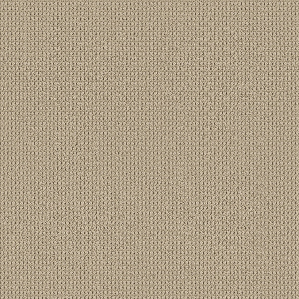 A close-up of the Knitted Tone Pet Friendly Carpet in Safari color highlights its beige, premium-quality fabric with a tightly woven, grid-like texture and uniform pattern ideal for pet-friendly homes.