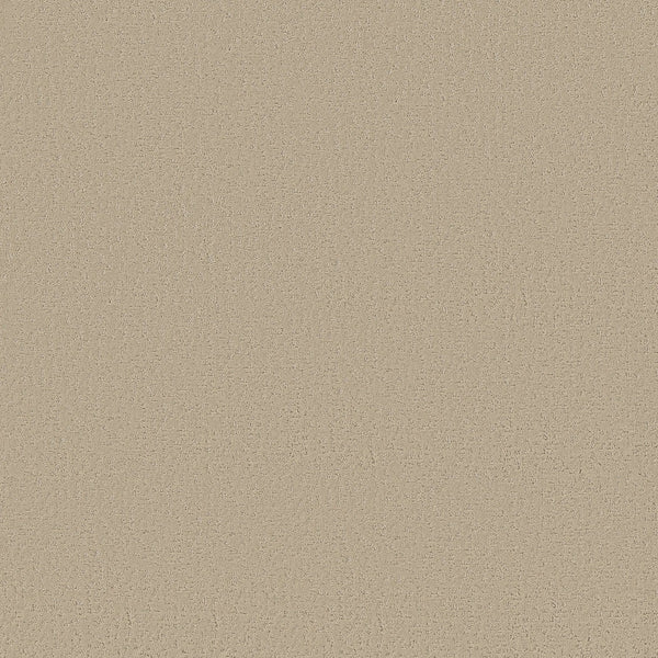 Crafted Tone Pet Friendly Carpet in Safari features a stain-resistant, beige surface with a subtle grainy texture—delivering durability and a consistently neutral look ideal for any space.