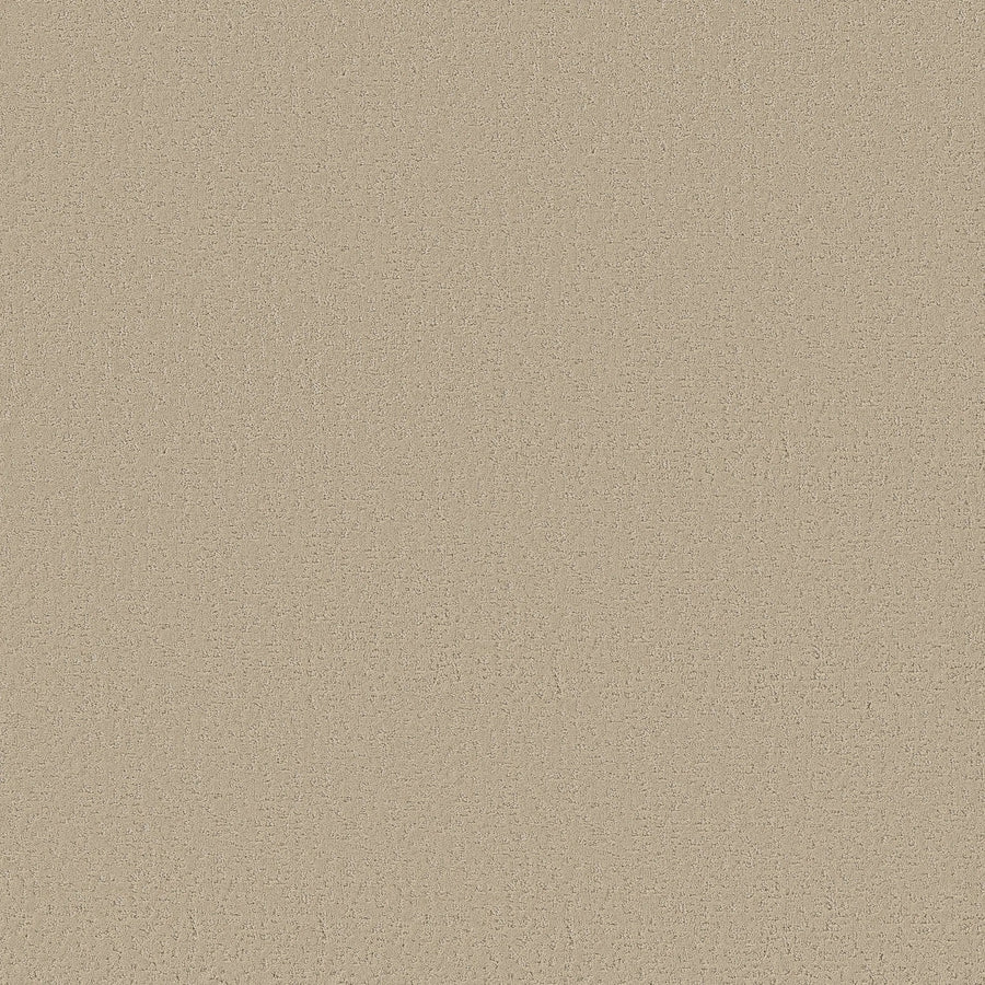 A close-up of the Crafted Tone Blue Pet Friendly Carpet in Safari color shows a smooth, stain-resistant beige surface with a subtle, fine texture spread evenly across the carpet.