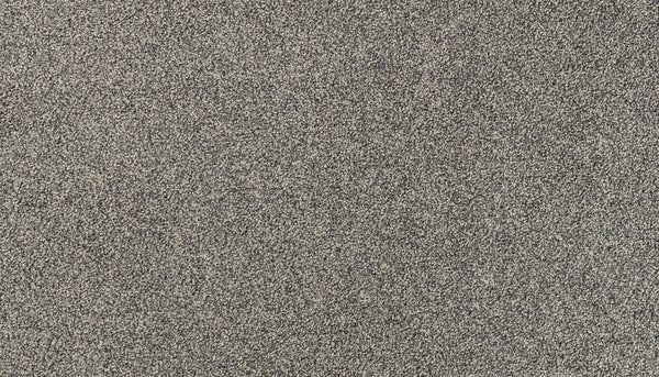 Close-up of Salinas Valley II Pet Friendly Carpet in Marina color, featuring fine, gray textured fibers with a speckled look, offering the stylish durability ideal for high-traffic spaces.