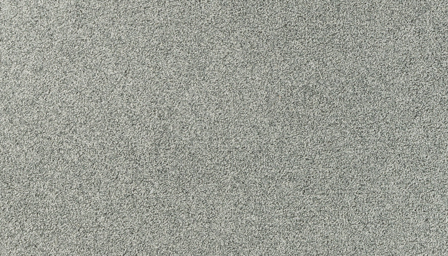 Close-up view of Salinas Valley II Pet Friendly Carpet in Greenhorn—a durable, textured surface with a uniform, grainy appearance, ideal for luxury flooring in high-traffic areas that demand style and resilience.